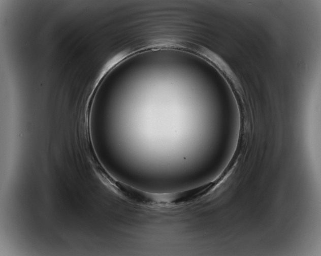 X0000086001242200703300940