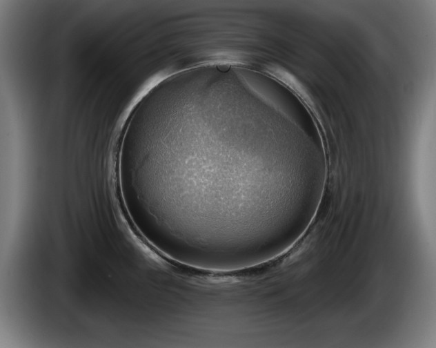 X0000086001243200703300940