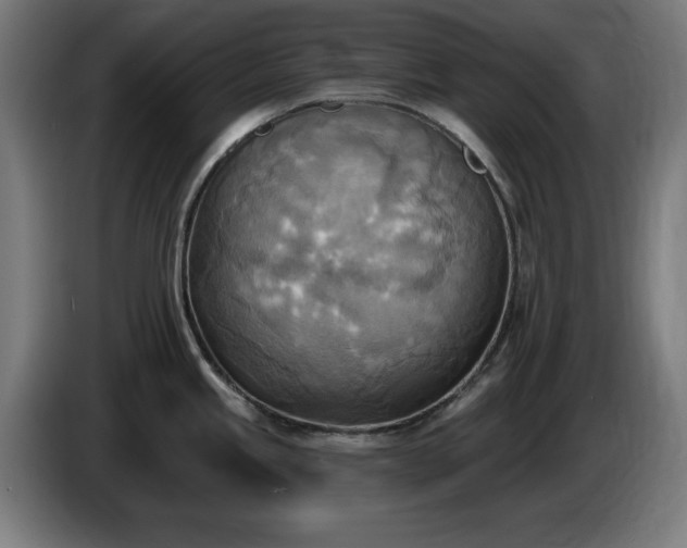 X0000086001245200703300940