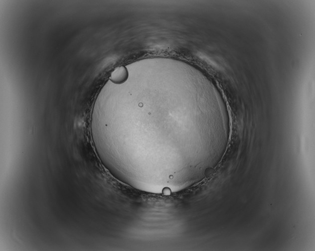 X0000086001254200703300940