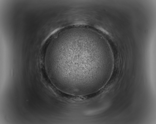 X0000086001255200703300940