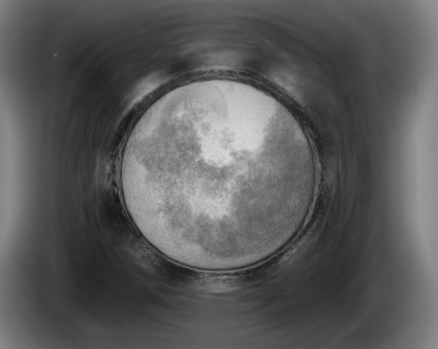 X0000086001258200703300940