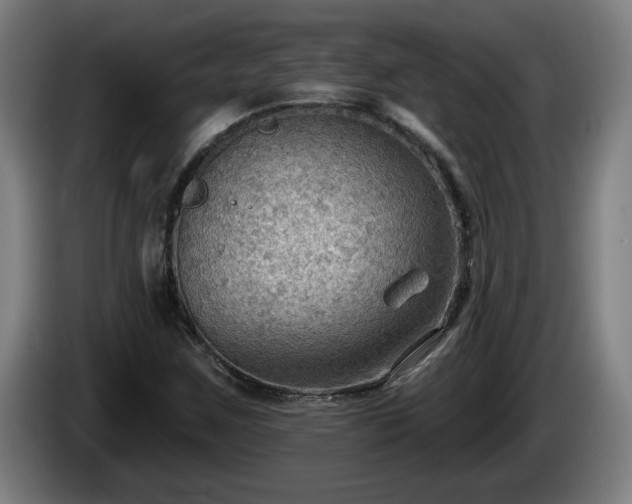 X0000086001259200703300940