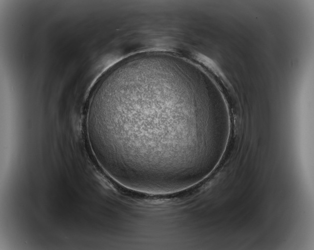 X0000086001260200703300940