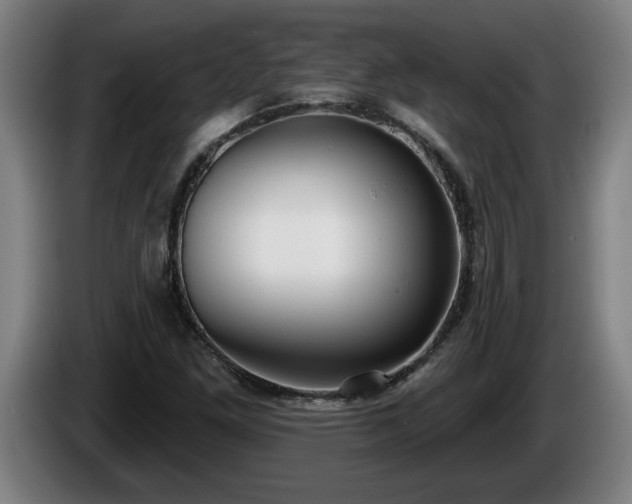 X0000086001261200703300940