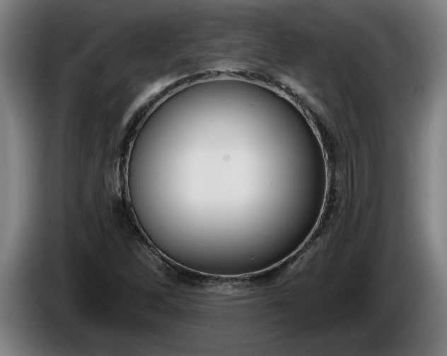 X0000086001262200703300940