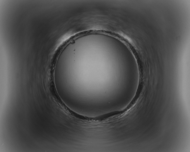 X0000086001263200703300940