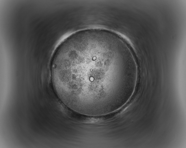 X0000086001271200703300939