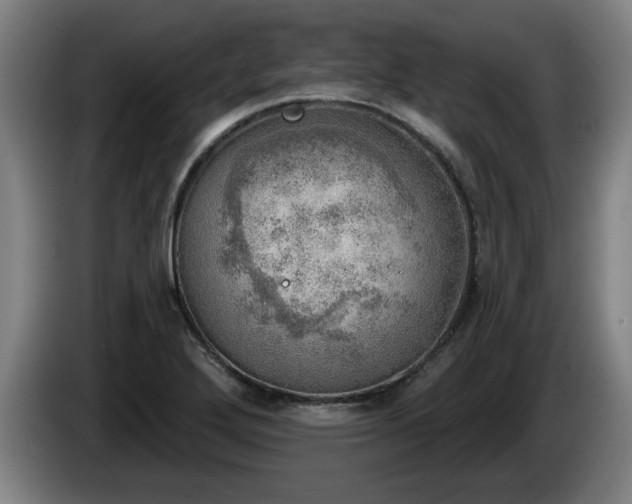 X0000086001272200703300939