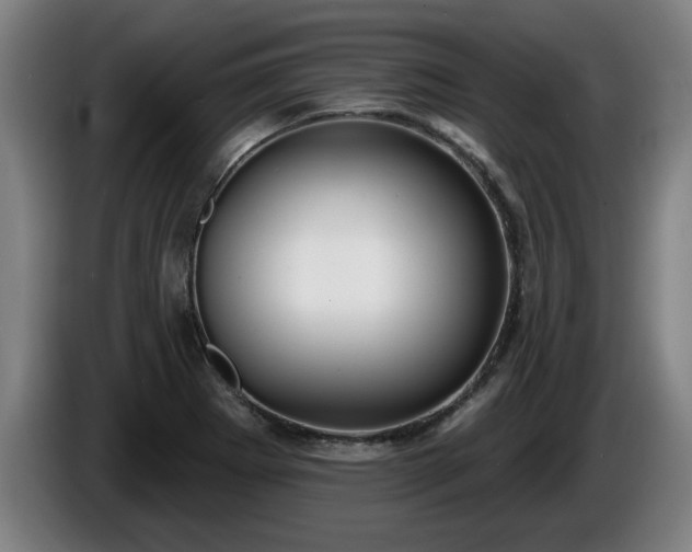 X0000086001273200703300939