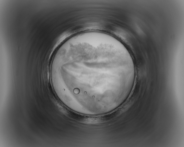 X0000086001274200703300939