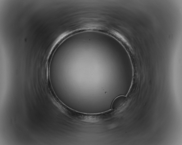 X0000086001275200703300939