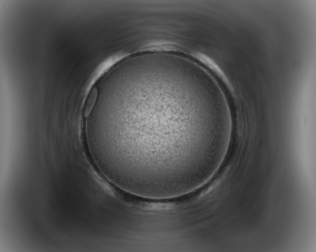 X0000086001277200703300939