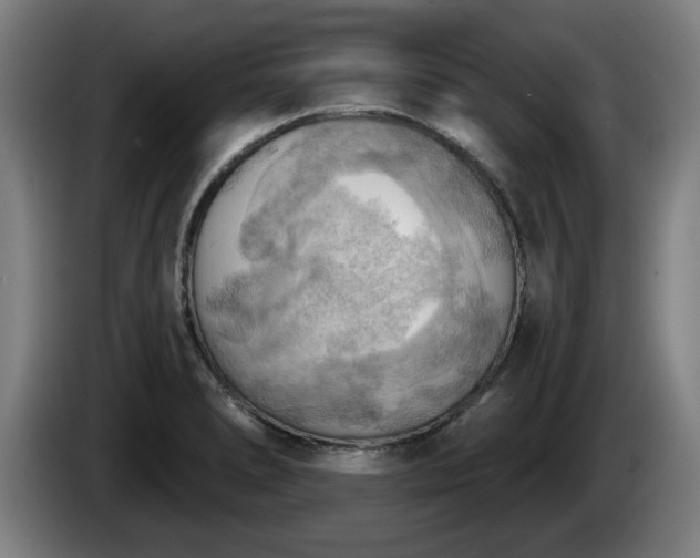 X0000086001278200703300939