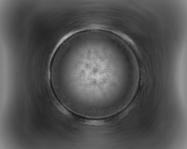 X0000086001280200703300939