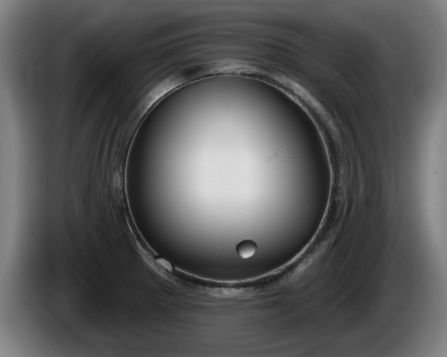 X0000086001281200703300939