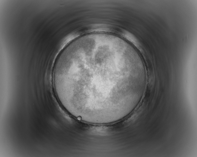 X0000086001282200703300939