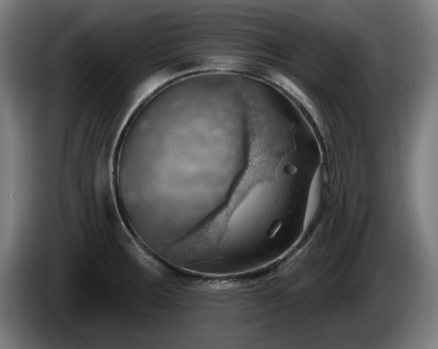 X0000086001283200703300939