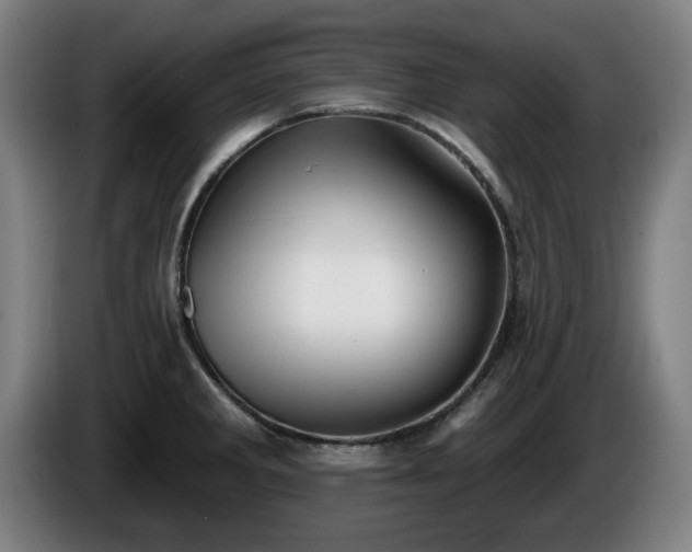 X0000086001285200703300939