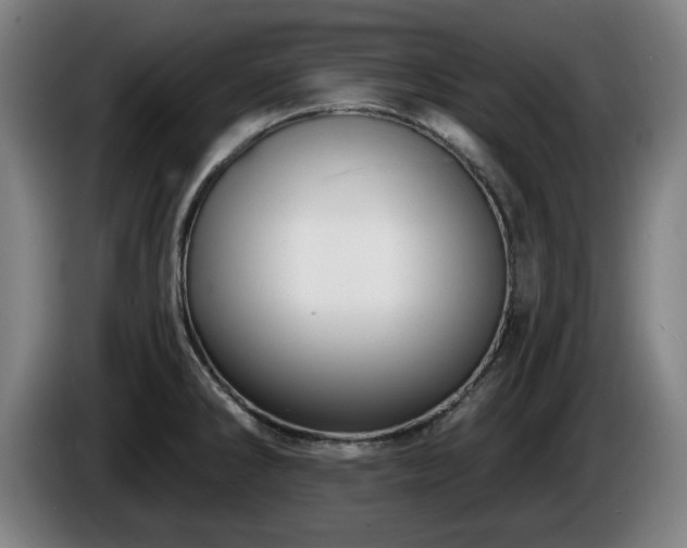 X0000086001286200703300939