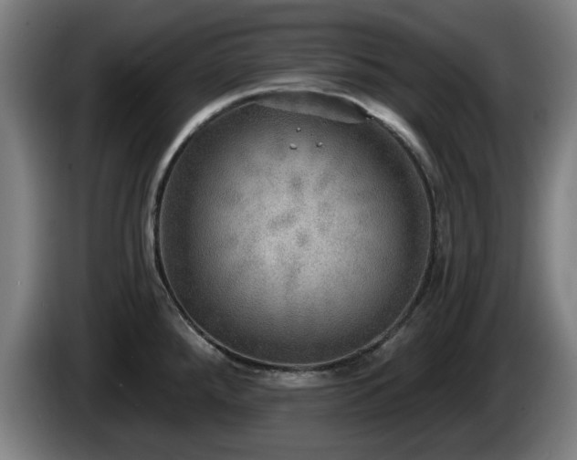 X0000086001288200703300939