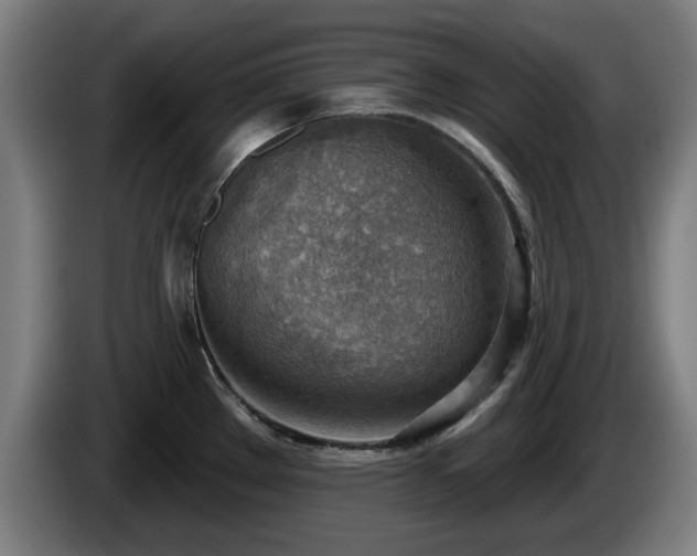 X0000086001289200703300939