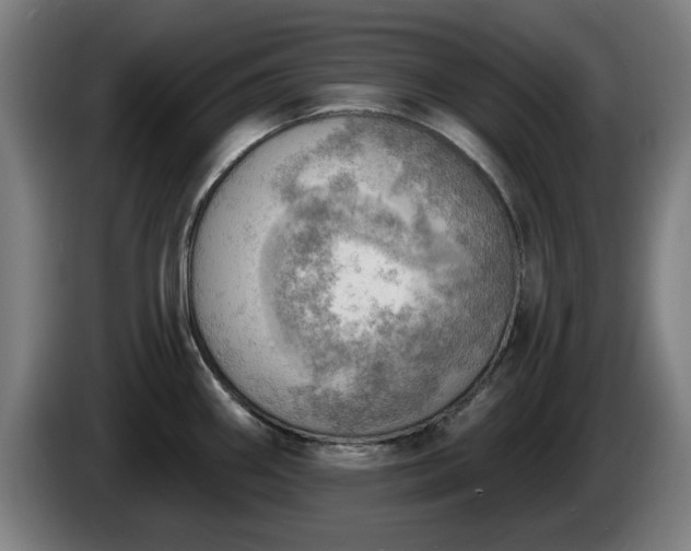 X0000086001290200703300939