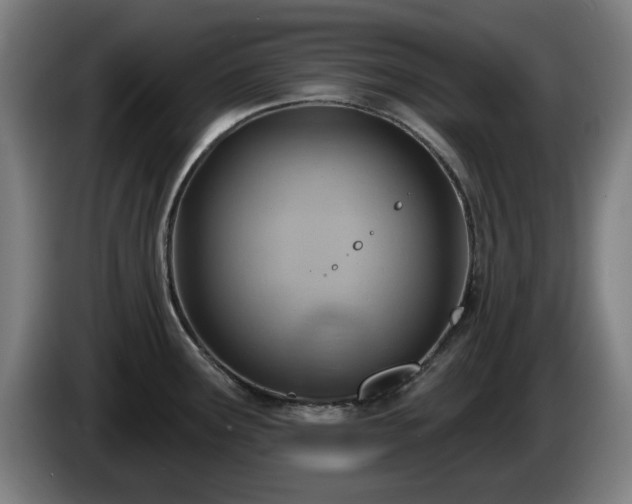 X0000086001291200703300939