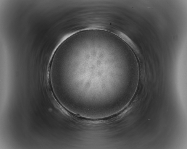 X0000086001292200703300939