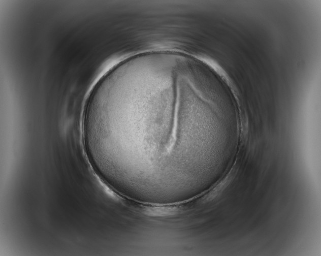 X0000086001294200703300939