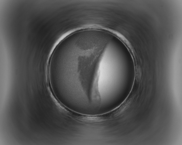 X0000086001295200703300939