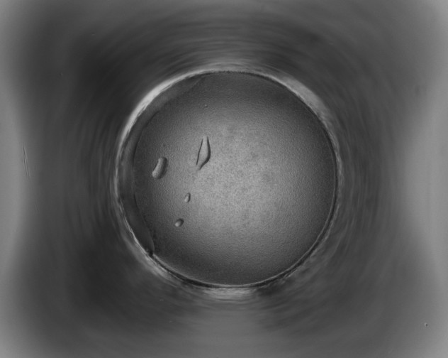 X0000086001296200703300939