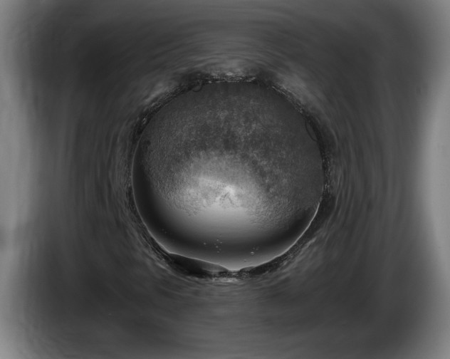 X0000086001297200703300938