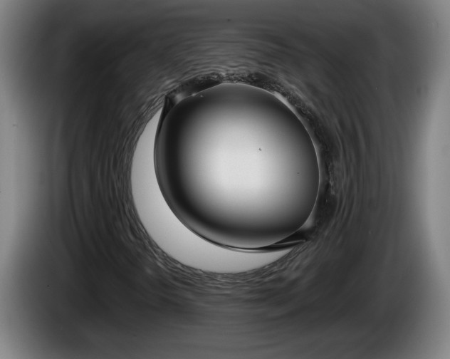 X0000086001298200703300938