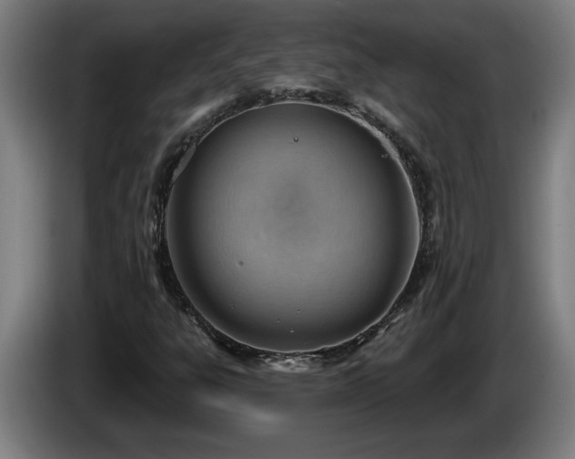 X0000086001303200703300939