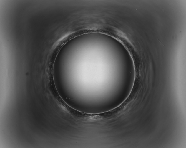 X0000086001304200703300939