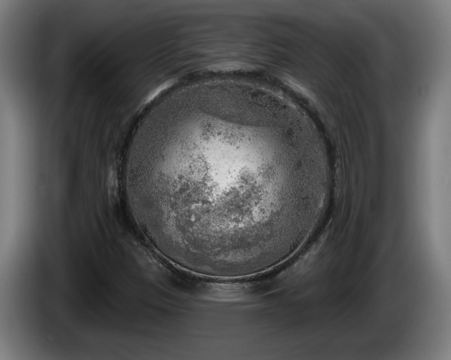 X0000086001305200703300939