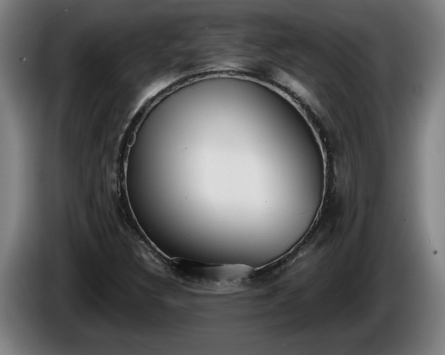 X0000086001308200703300939