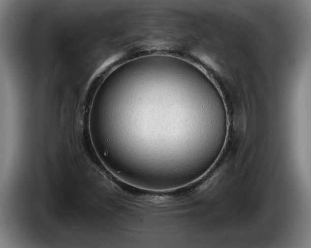 X0000086001309200703300939