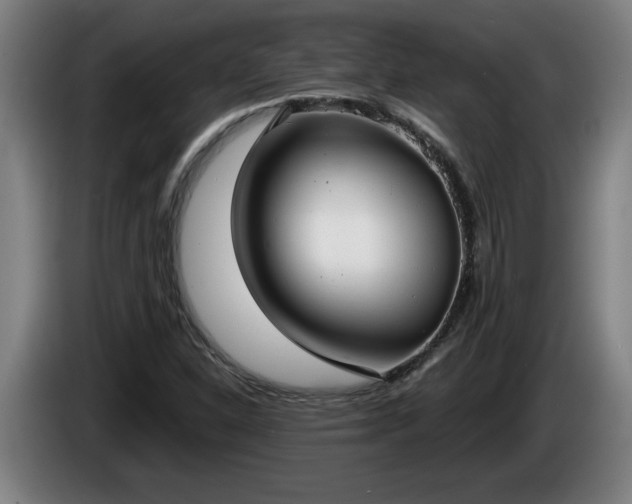 X0000086001310200703300939