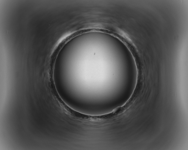 X0000086001312200703300939