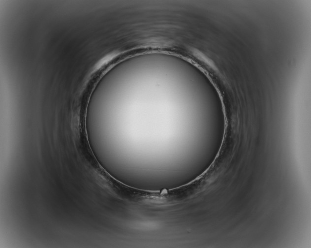 X0000086001315200703300939