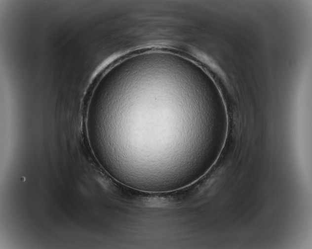 X0000086001316200703300939