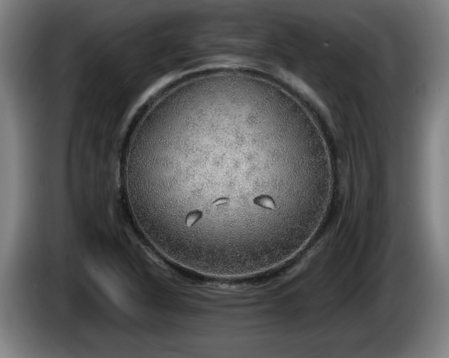 X0000086001318200703300939