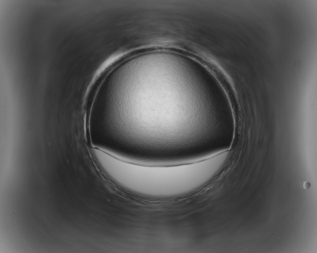 X0000086001320200703300939