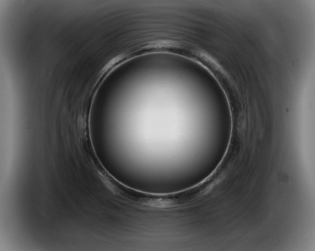 X0000086001321200703300939