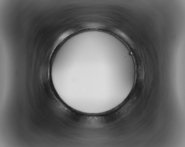 X0000086001322200703300939