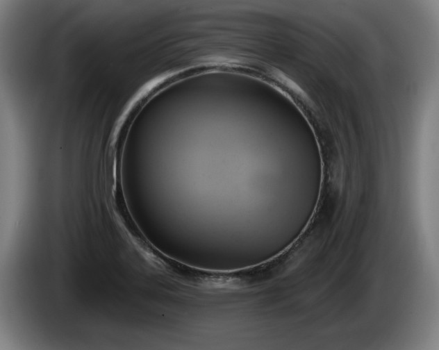 X0000086001323200703300939