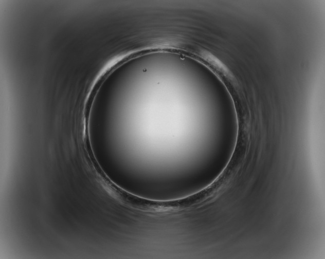 X0000086001324200703300939