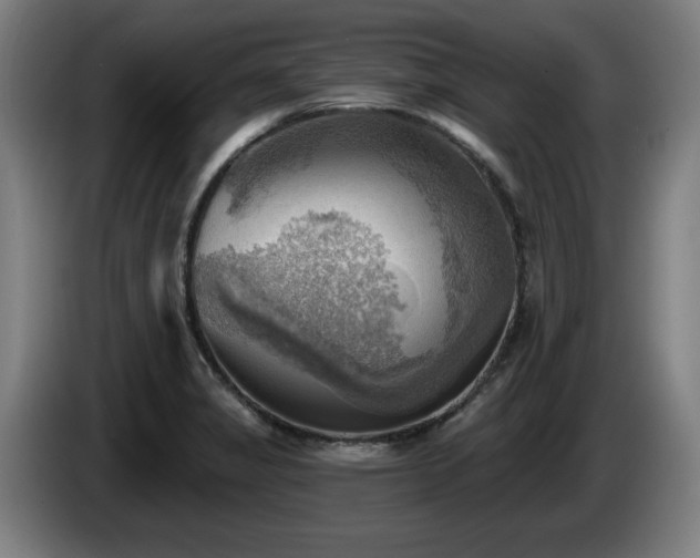 X0000086001325200703300939